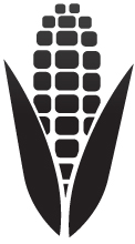 Ear of Corn